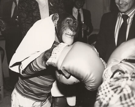 Andy Warhol, ‘Chimpanzee’, ca. 1985