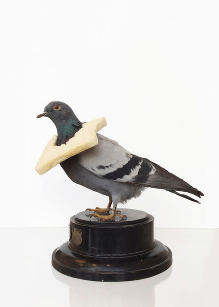 Nancy Fouts, ‘Pigeon with Bread’, 2011
