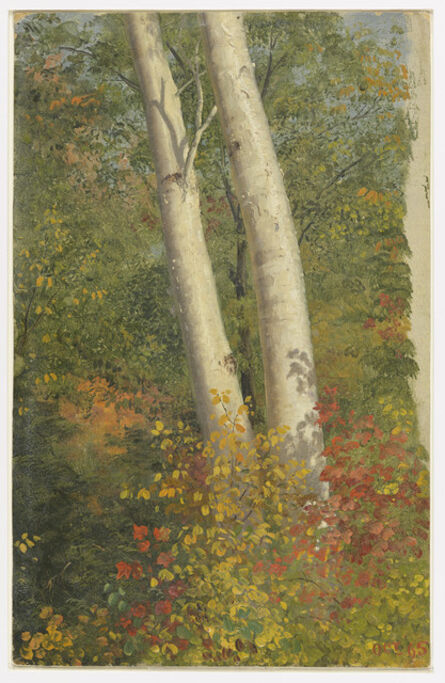 Frederic Edwin Church, ‘Birch Trees in Autumn’, 1865