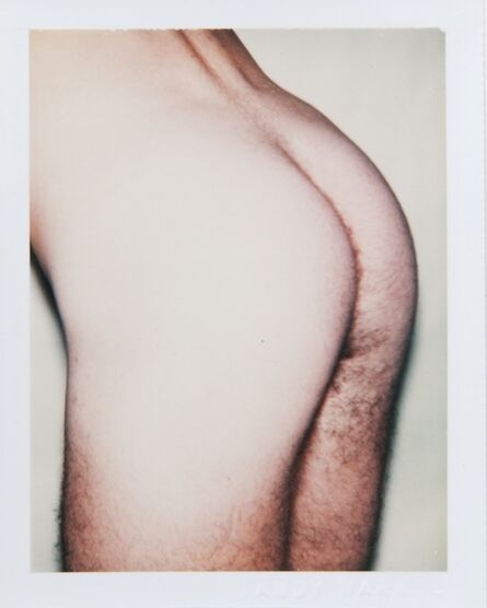 Andy Warhol, ‘Polaroid Photograph from the 'Sex Parts and Torsos' Series’, 1977