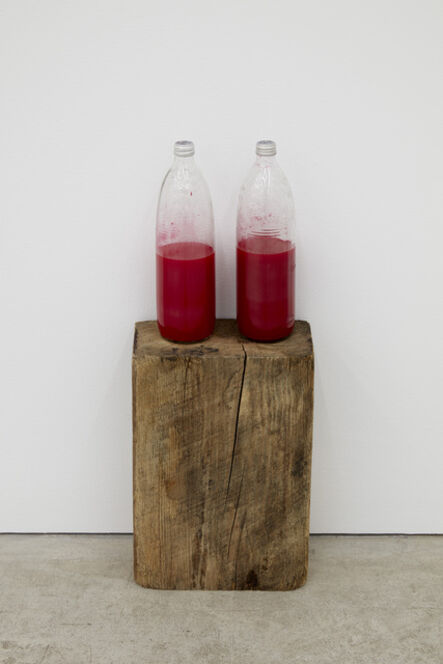 Tony Feher, ‘Red Pair Waiting’, 2007