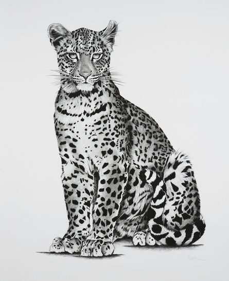Rose Corcoran, ‘17. Young Leopard’, 2018