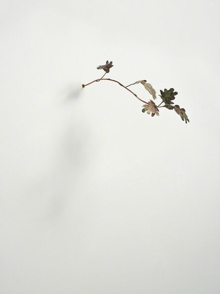 Rolf Nowotny, ‘Pinocchio Leaves (oak)’, 2013