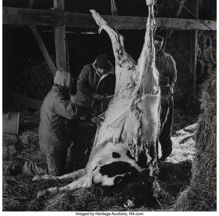 Peter Hujar, ‘Untitled (Slaughtered Cow)’, 1981