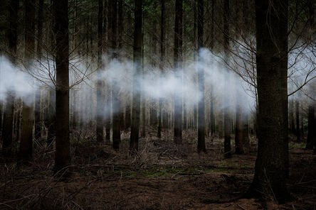 Ellie Davies, ‘Between the Trees 6’, 2014