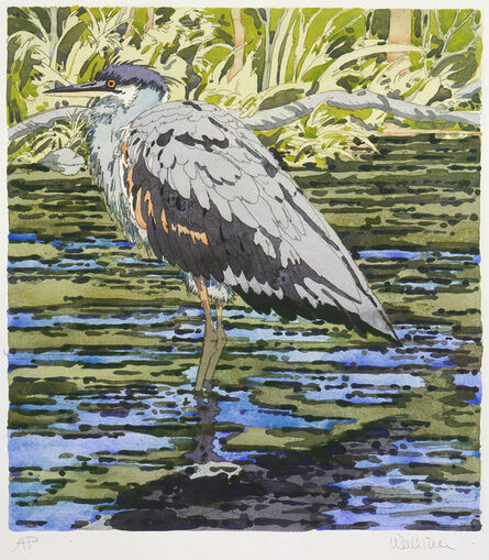 Neil G. Welliver, ‘Immature Great Blue Heron’, 1978