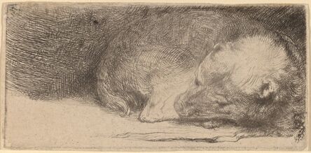Rembrandt van Rijn, ‘Sleeping Puppy’, ca. 1640