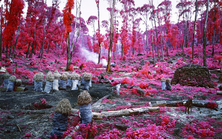 Richard Mosse, ‘Hunches in Bunches’, 2011