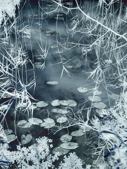 Santeri Tuori, ‘Water Lilies 9 ’, 2020