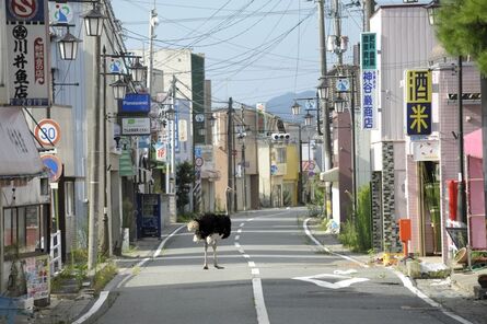 Yasusuke Ota, ‘Deserted Town ’, 2011