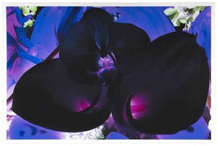 Marc Quinn, ‘At the Far Edges of the Universe 6 ’, 2010
