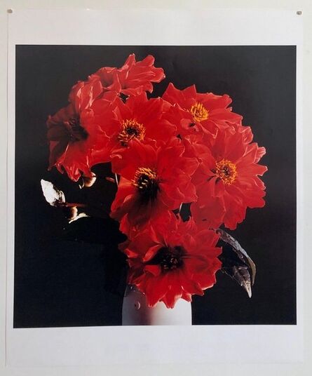 Peter C. Jones, ‘Great Dahlias, Large Format Flowers Photo 24X20 Color Photograph Beach House’, 2000-2009