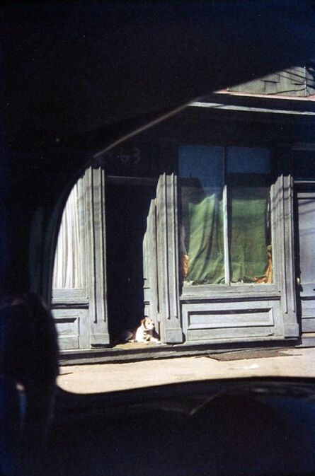 Saul Leiter, ‘Dog in Doorway, Paterson’, 1952