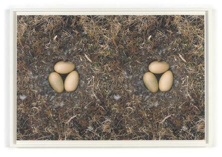 Roni Horn, ‘To Nest, No. 5’, 1997/2001