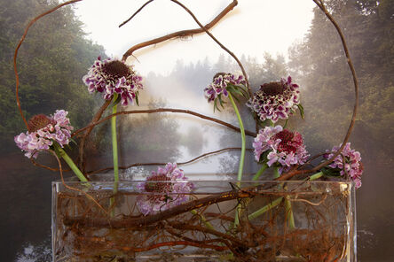 Vaughn Sills, ‘Ranunculus, Wright's Pond’, 2020