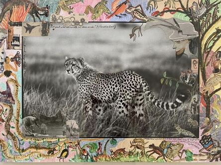 Peter Beard, ‘Kenya Cheetah’, 1960/2012