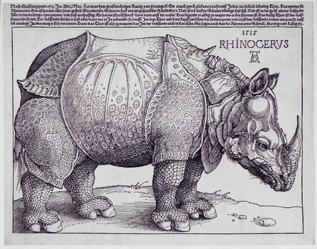 Albrecht Dürer, ‘Rhinocerus’, AD 1515