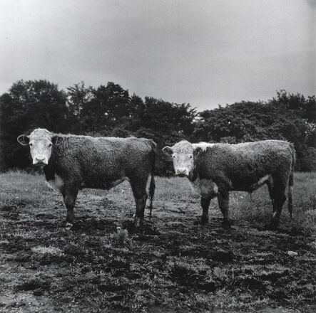 Peter Hujar, ‘Butch and Buster’, 1978