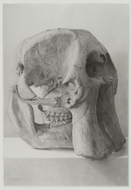 Claudio Bravo, ‘Elephant Skull’, 2006