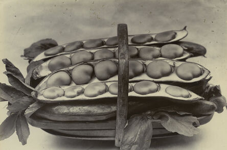 Charles Jones (1866-1959), ‘Beans in a Basket, c. 1900’, c. 1900