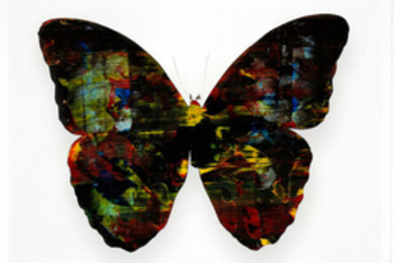 Stan Gaz, ‘Butterfly 4’, 2010