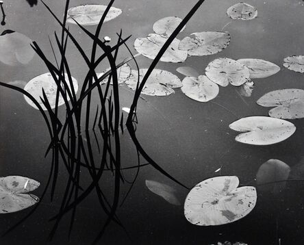 Brett Weston, ‘Untitled’, 1968
