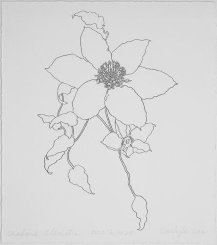 Carlyle Wolfe, ‘Chadwick Clematis 6-12-20’, 2020