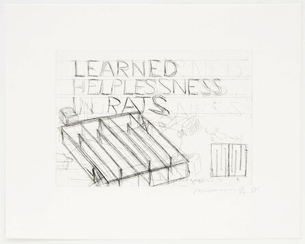 Bruce Nauman, ‘Learned Helplessness in Rats’, 1988