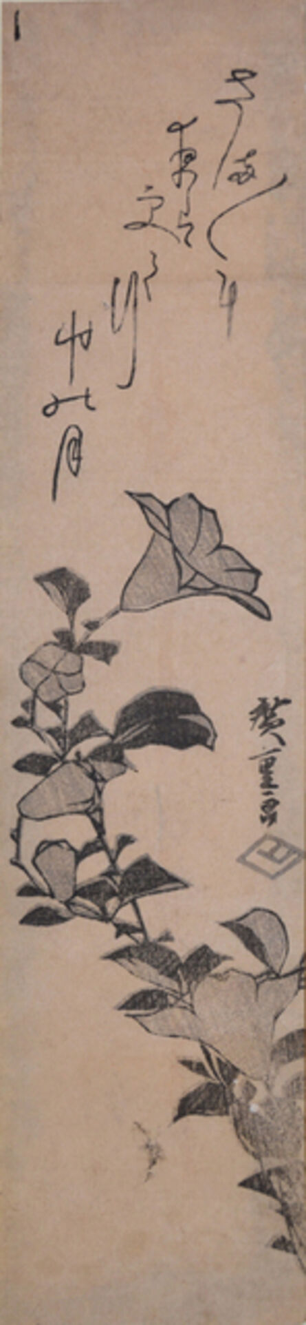 Utagawa Hiroshige (Andō Hiroshige), ‘Japanese Bellflower’, ca. 1840