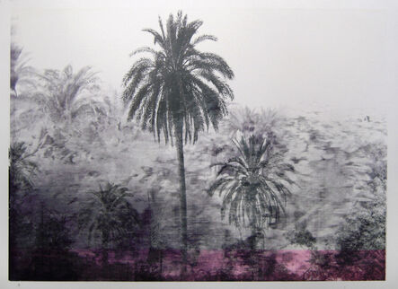 Daniele Genadry, ‘Between Saida and Sur (Black palms)’, 2009