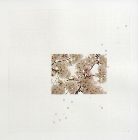 Darren Almond, ‘Sakura Chart #0.01’, 2006