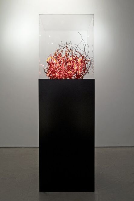 Shezad Dawood, ‘The Source of Peace’, 2011