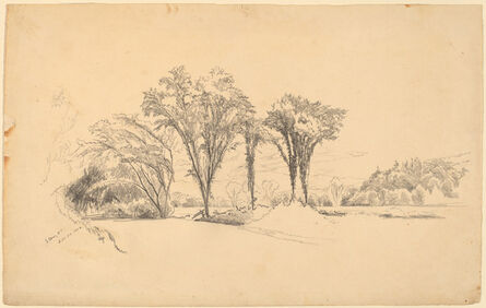 Aaron Draper Shattuck, ‘Elms at Stowe, Vermont’, 1858