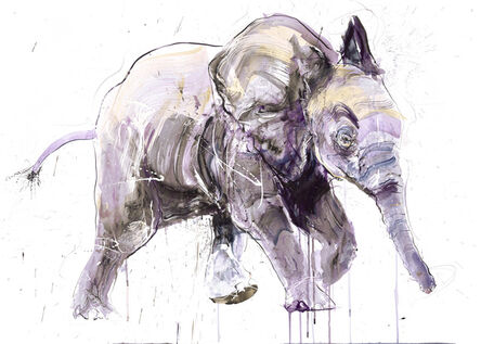 Dave White, ‘Young Elephant II DD (large)’, 2020