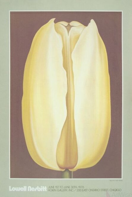 Lowell Nesbitt, ‘Yellow Tulip’, 1976
