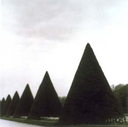 Lynn Geesaman, ‘Parc de Sceaux, France (4-99-44-9)’, 1999