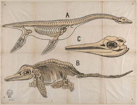 ‘Untitled (Working Men's Educational Union textile length, "Jurassic Reptiles")’, 1850-1860