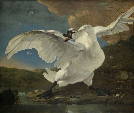 Jan Asselijn, ‘The Threatened Swan’, ca. 1650