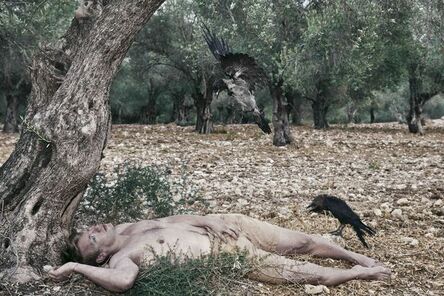 Itamar Freed, ‘Man & Crows in The Olive Grove’, 2013