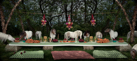 Claire Rosen, ‘The Shetland Pony Feast’, 2013