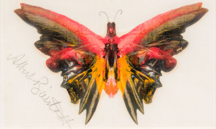 Albert Bierstadt, ‘Butterfly (Red, Orange)’, ca. 1893