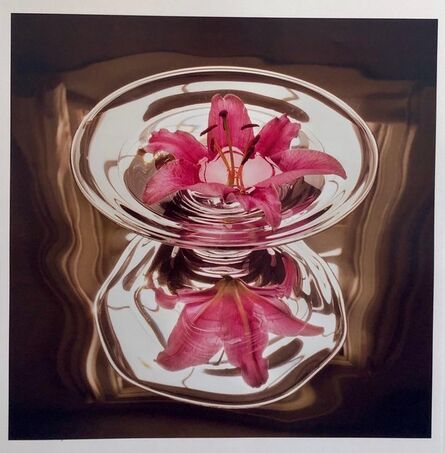 Peter C. Jones, ‘Floating Lily, Large Format Photo 24X20 Color Photograph Beach House’, 2000-2009