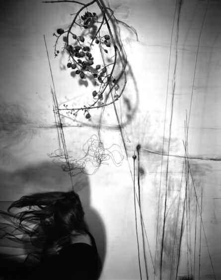 Lauren Semivan, ‘Branches’, 2011
