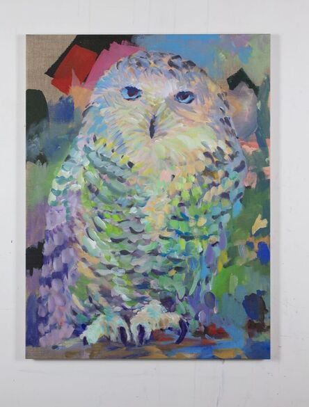 Jacco Olivier, ‘Untitled (Owl 11)’, 2022