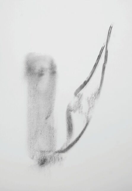 Jan Schmidt, ‘Halfpipe Drawings’, 2014