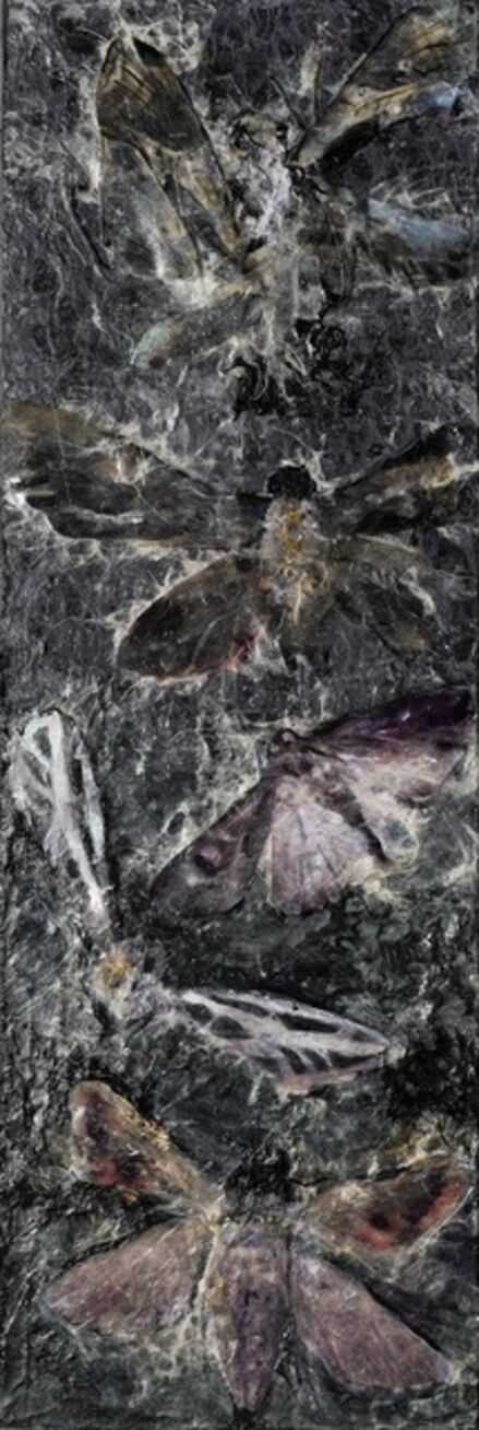 Rosemary Feit Covey, ‘Moths - Broken Flight’, 2020
