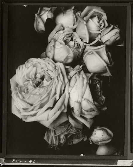 Edward Steichen, ‘Heavy Roses, France’, 1914