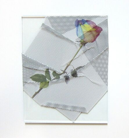 Virginia Poundstone, ‘Rainbow Rose’, 2013