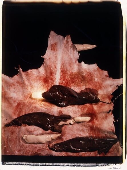 Helen Chadwick, ‘Meat Abstract No. 3: Liver’, 1989
