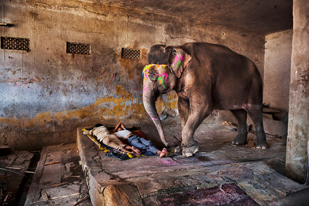 Steve McCurry, ‘Elephant with Sleeping People’, 2012